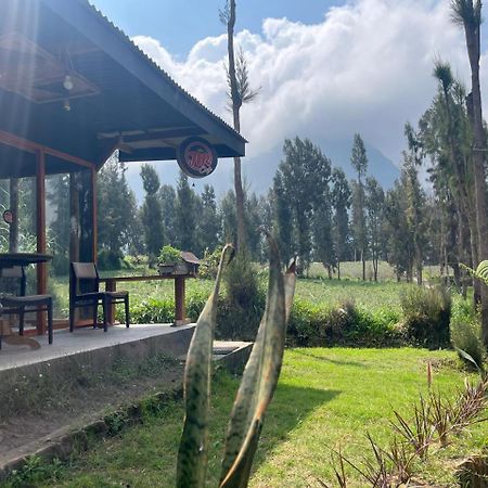 Gangga Guest House Bromo Ngadisari Eksteriør bilde
