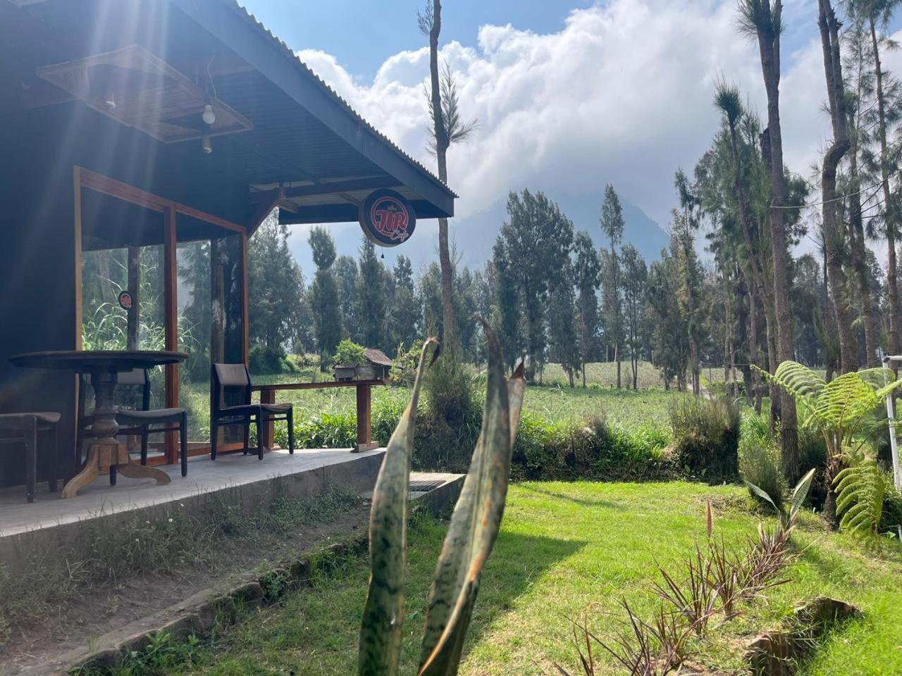 Gangga Guest House Bromo Ngadisari Eksteriør bilde
